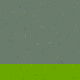 Panoramique Algae vinyle