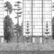Panoramique Urban Garden non tissé