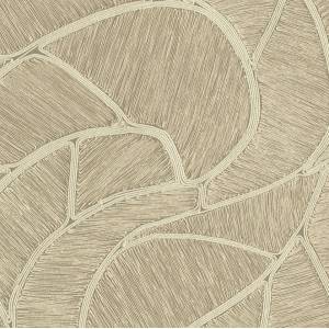 Papier peint Spiral