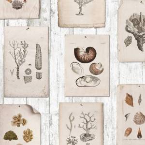 Papier peint Panoramique Riambel