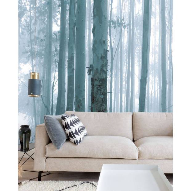 Panoramique Mysterious Forest