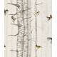 Papier Peint Birch Trees