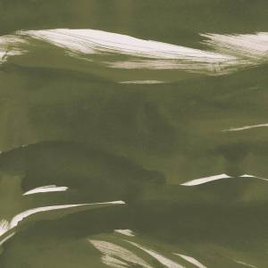 Papier peint Panoramique Marine Xray Vinyle