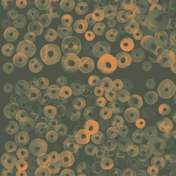 Panoramique Cellular Patterns Vinyle