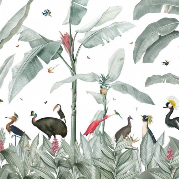 Papier peint Panoramique sur mesure Casela Birds