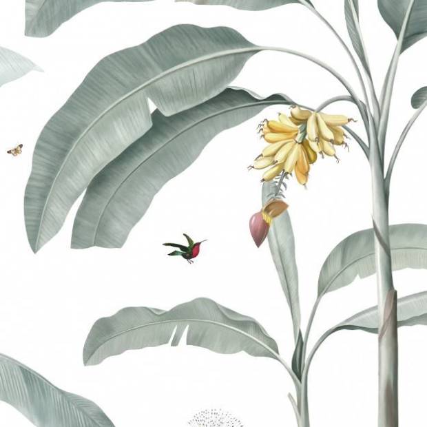 Papier peint Panoramique sur mesure Casela Birds