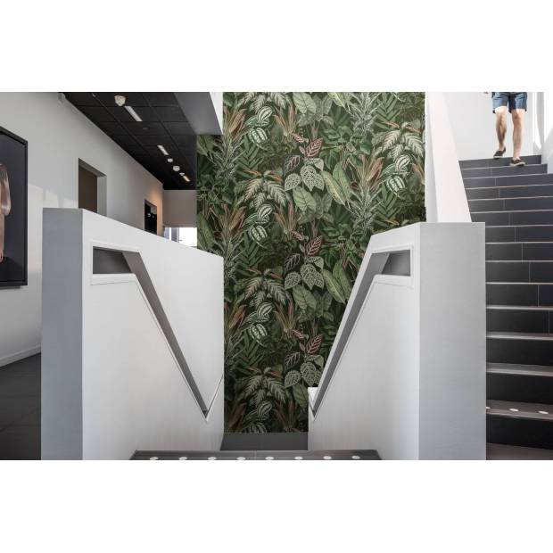 Papier peint Panoramique sur mesure Mischievous Monkeys