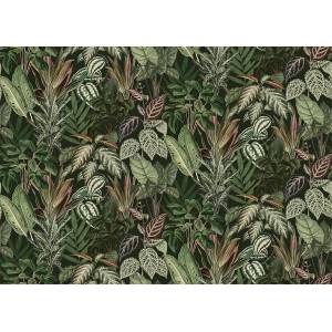 Papier peint Panoramique sur mesure Mischievous Monkeys