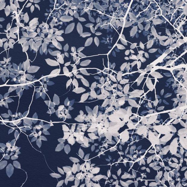 Papier peint Panoramique sur mesure Jardin Nocturne