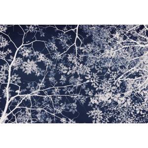 Papier peint Panoramique sur mesure Jardin Nocturne