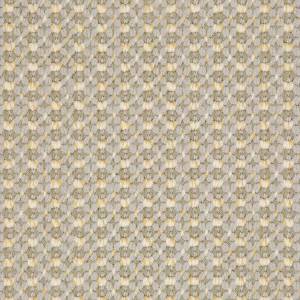 Moquette Gold Coast