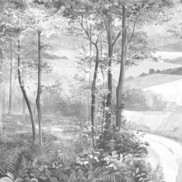 Papier peint Panoramique sur mesure l'Orée du bois