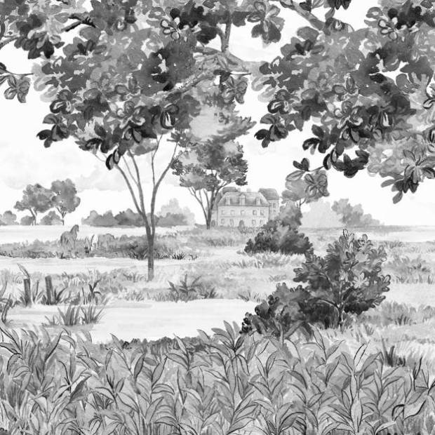 Papier peint Panoramique sur mesure Le Marais des aigrettes