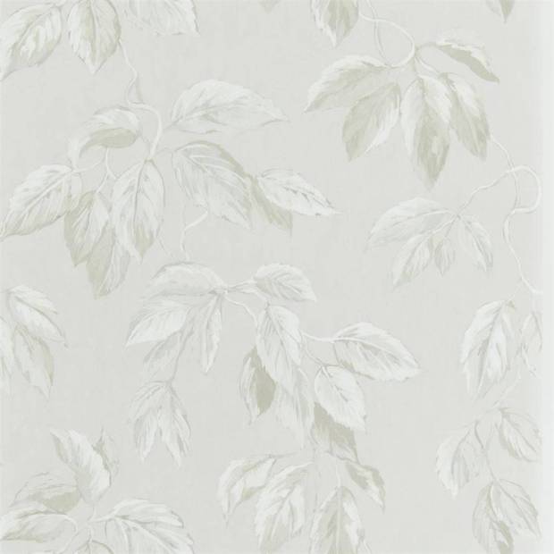 Papier peint Jangal