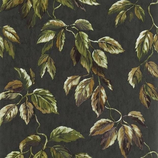 Papier peint Jangal