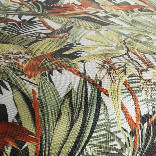 Tissu Jungle Birds