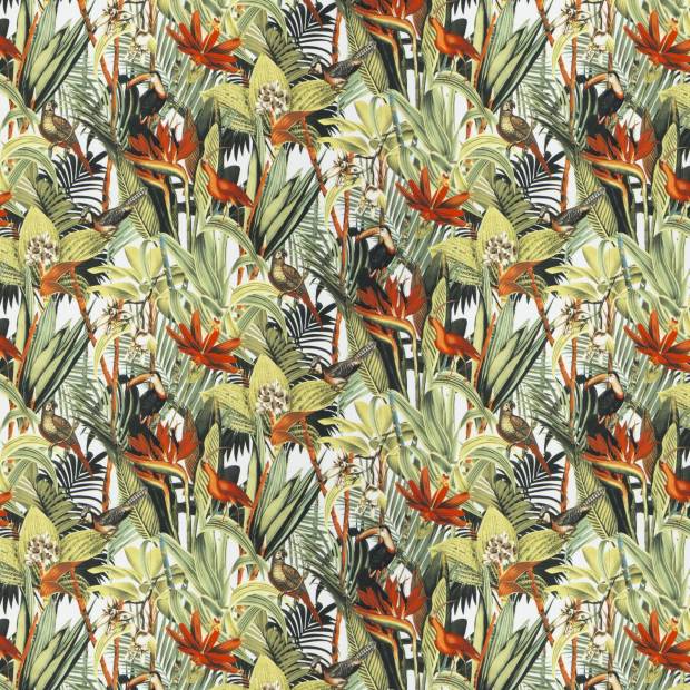 Tissu Jungle Birds
