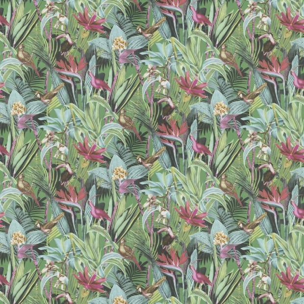 Tissu Jungle Birds