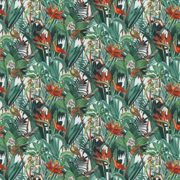 Tissu Jungle Birds