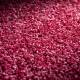 Moquette Mystic SD