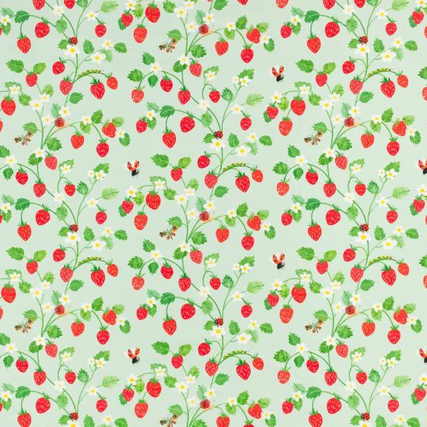 Tissu Strawberry Patch