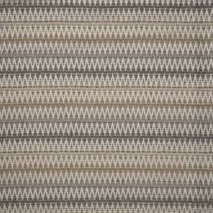 Tissu Step