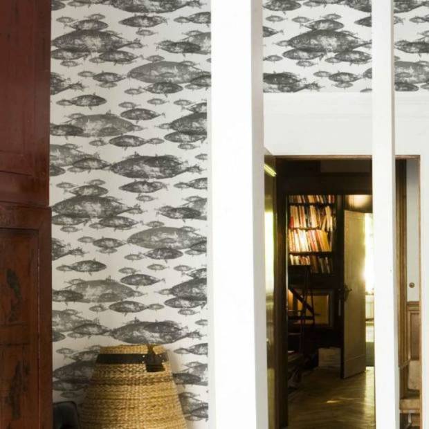 Papier Peint Poissons