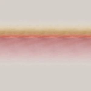 Tissu Blush Delinight