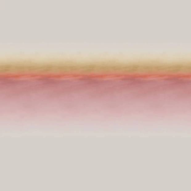 Tissu Blush Delinight