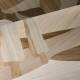 Papier peint Panoramique Under the Sycamore Tree
