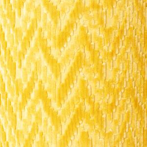Tissu Fossile