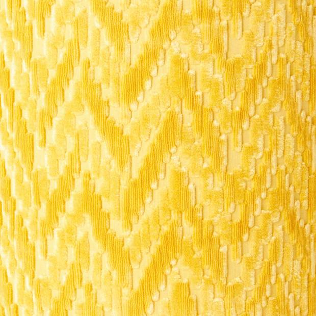 Tissu Fossile