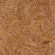 Papier Peint Panoramique Wood Leaves