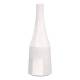 Bouteille Décorative Inout 91