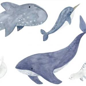 Papier peint Sea Life
