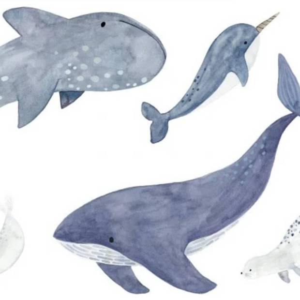 Papier peint Sea Life