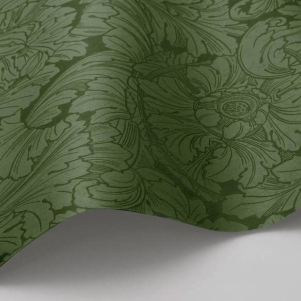 Papier peint Acanthus