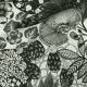 Tissu Lithops