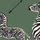 Papier peint Zebras