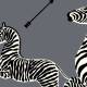 Papier peint Zebras