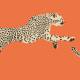 Papier Peint Leaping Cheetah