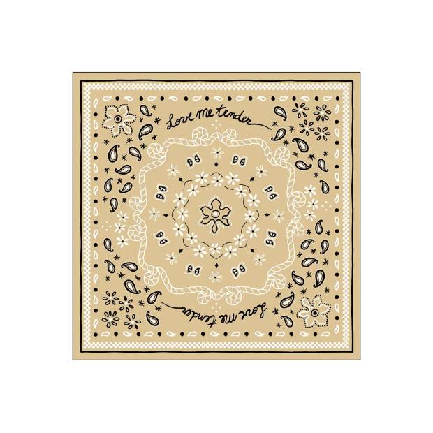 Lot de 20 serviette Bandana