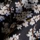 Tissu Cherry Blossom