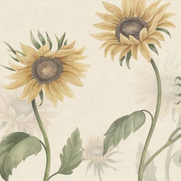 Papier peint Panoramique Sunflower