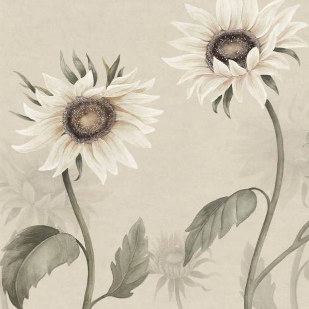 Papier peint Panoramique Sunflower