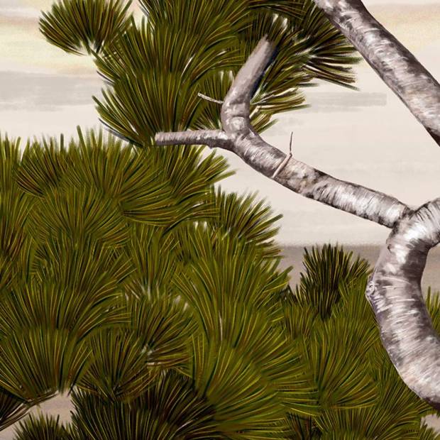 Papier peint Panoramique sur mesure Littoral en intissé