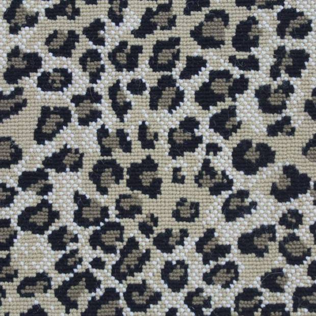 Moquette Salta