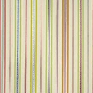 Papier Peint Rio Javari