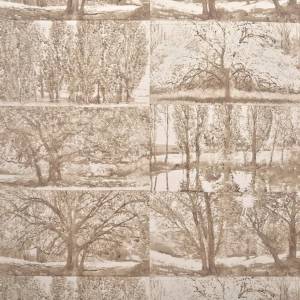 Papier peint Arbres et Sous Bois