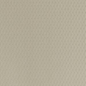 Tissu Soft Line Delinight